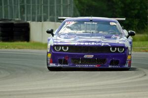 Cole Carlson's Dodge Challenger