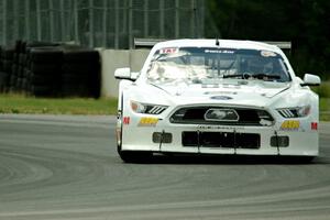 Tim Gray's Ford Mustang