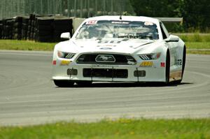 Tim Gray's Ford Mustang