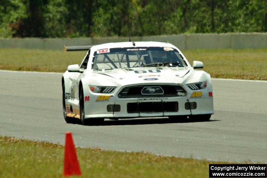 Tim Gray's Ford Mustang