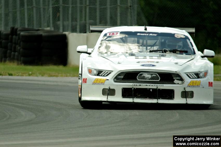 Tim Gray's Ford Mustang