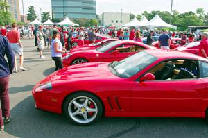 Ferrari 550's