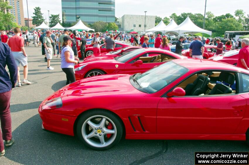 Ferrari 550's