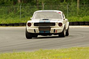 Brian Kennedy's Ford Shelby GT350