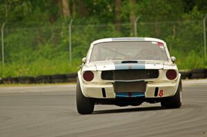 Brian Kennedy's Ford Shelby GT350