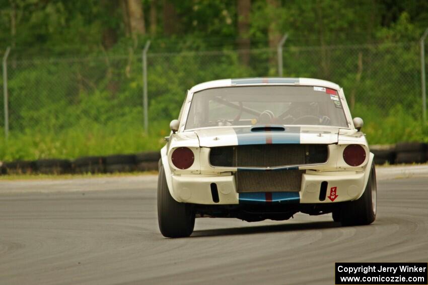 Brian Kennedy's Ford Shelby GT350