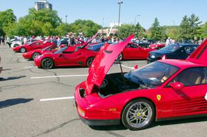 Ferraris and Alfa Romeos