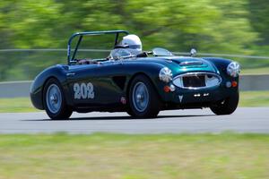 Eileen Wetzel's Austin-Healey 3000