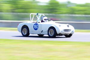 Duane Otness' Austin-Healey Sprite