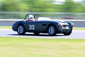 Dan Powell's Austin-Healey 3000