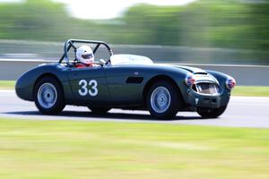 Dan Powell's Austin-Healey 3000