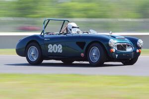 Eileen Wetzel's Austin-Healey 3000