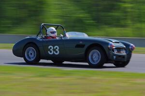 Dan Powell's Austin-Healey 3000