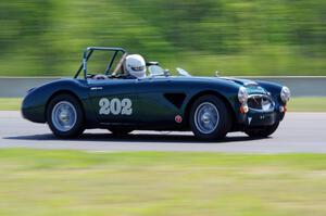 Eileen Wetzel's Austin-Healey 3000