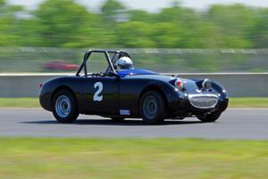 Phil Schaefer's Austin-Healey Sprite