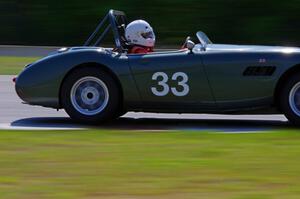 Dan Powell's Austin-Healey 3000