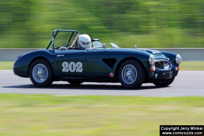 Eileen Wetzel's Austin-Healey 3000