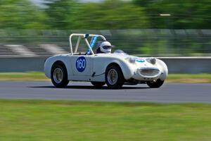 Duane Otness' Austin-Healey Sprite