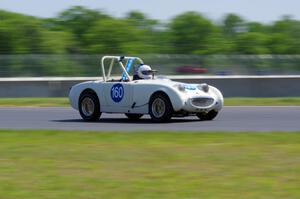 Duane Otness' Austin-Healey Sprite