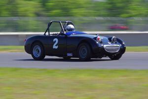 Phil Schaefer's Austin-Healey Sprite