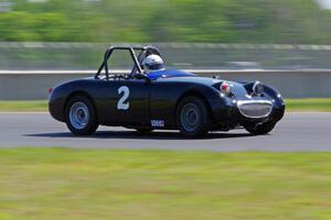 Phil Schaefer's Austin-Healey Sprite