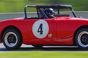 Tom Daly's Austin-Healey Sprite