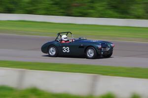 Dan Powell's Austin-Healey 3000