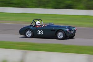 Dan Powell's Austin-Healey 3000