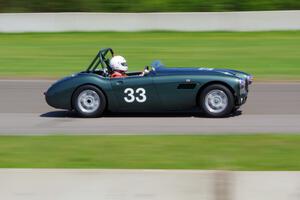 Dan Powell's Austin-Healey 3000