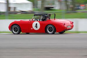 Tom Daly's Austin-Healey Sprite