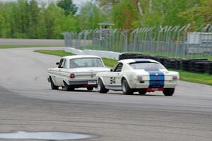 Damon Bosell's Ford Falcon and Brian Kennedy's Ford Shelby GT350