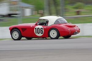 Scott McQueen's Austin-Healey 100-6