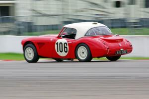 Scott McQueen's Austin-Healey 100-6