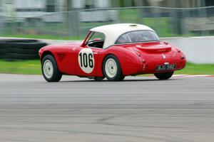 Scott McQueen's Austin-Healey 100-6