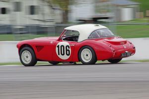 Scott McQueen's Austin-Healey 100-6