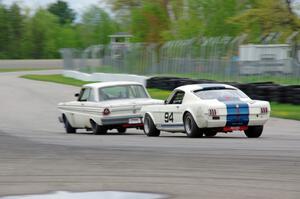 Damon Bosell's Ford Falcon and Brian Kennedy's Ford Shelby GT350