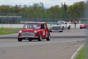 Jerry Orr's Austin Mini Cooper S, Damon Bosell's Ford Falcon and Brian Kennedy's Ford Shelby GT350