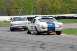 Damon Bosell's Ford Falcon and Brian Kennedy's Ford Shelby GT350