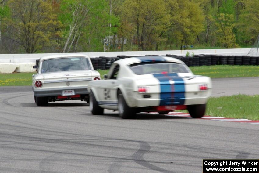 Damon Bosell's Ford Falcon and Brian Kennedy's Ford Shelby GT350