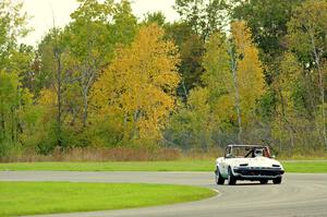 Rat Patrol Triumph TR-7