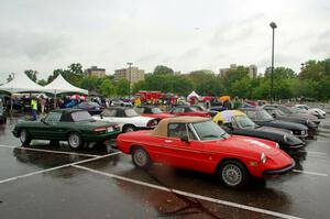 A number of wet Alfa Romeo Spiders.