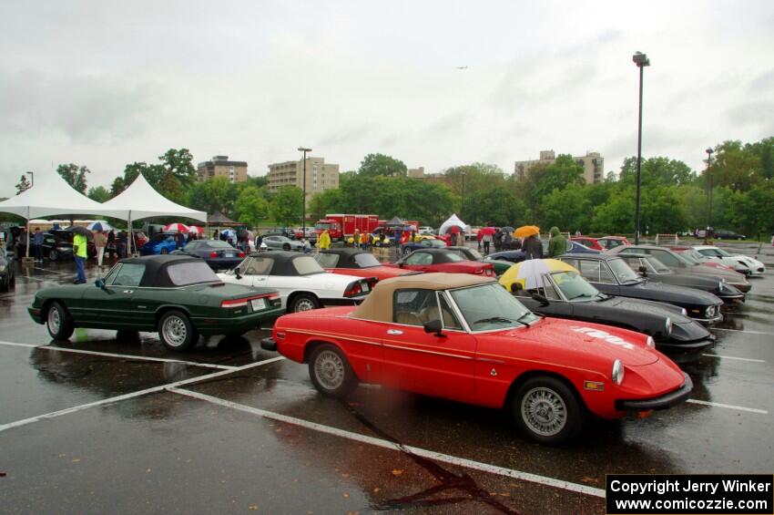 A number of wet Alfa Romeo Spiders.