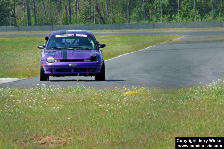 Plum Crazy Plymouth Neon