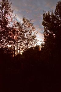 A colorful sunset in the Two Inlets State Forest.