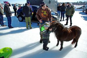 A miniature Shetland Pony came out to see the iceracers.