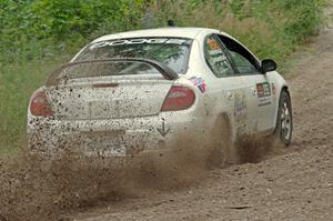 Matt Coatsworth / Ben Anderson Dodge SRT-4 at a sharp left on SS3, Steamboat I.