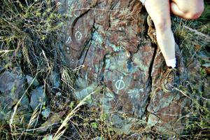 Petroglyphs along the dusty trail.