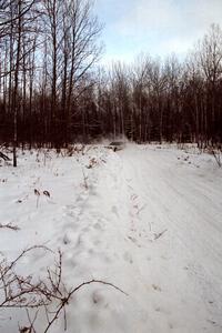 Carlos Lopez / John Atsma Eagle Talon spins at a sharp corner on SS1, Hardwood Hills Rd.