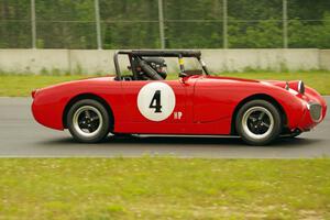 Tom Daly's Austin-Healey Sprite