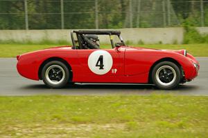 Tom Daly's Austin-Healey Sprite